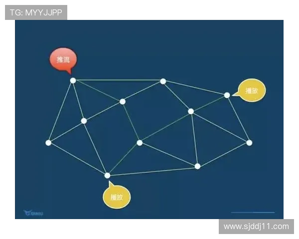 电视直播线路的多元化选择与优化方案探讨 电视直播线路的多元化选择与优化方案探讨
